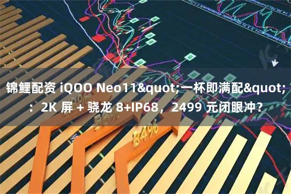 锦鲤配资 iQOO Neo11&quot;一杯即满配&quot;：2K 屏 + 骁龙 8+IP68，2499 元闭眼冲？