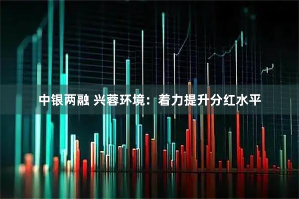中银两融 兴蓉环境：着力提升分红水平